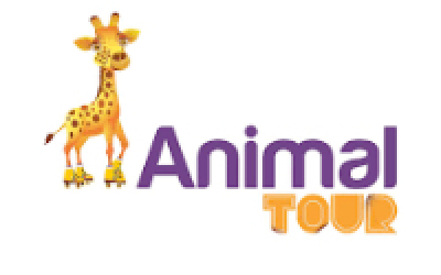 ANIMAL TOUR - Golden Square