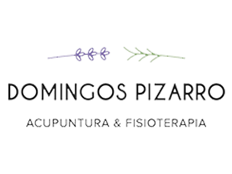 Domingos Pizarro - Shopping Downtown