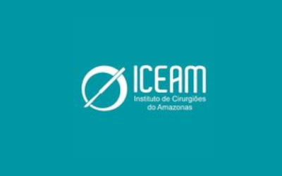 ICEAM 